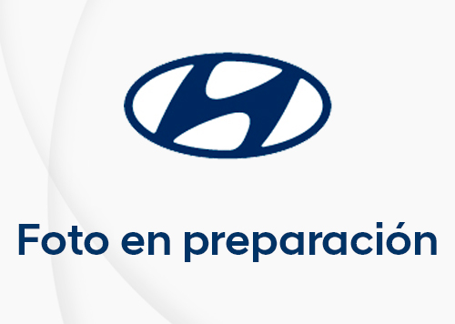 Hyundai i20 1.6 TGDI N Copa 204